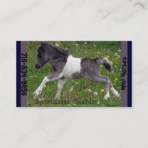 Mini Horse Business Card