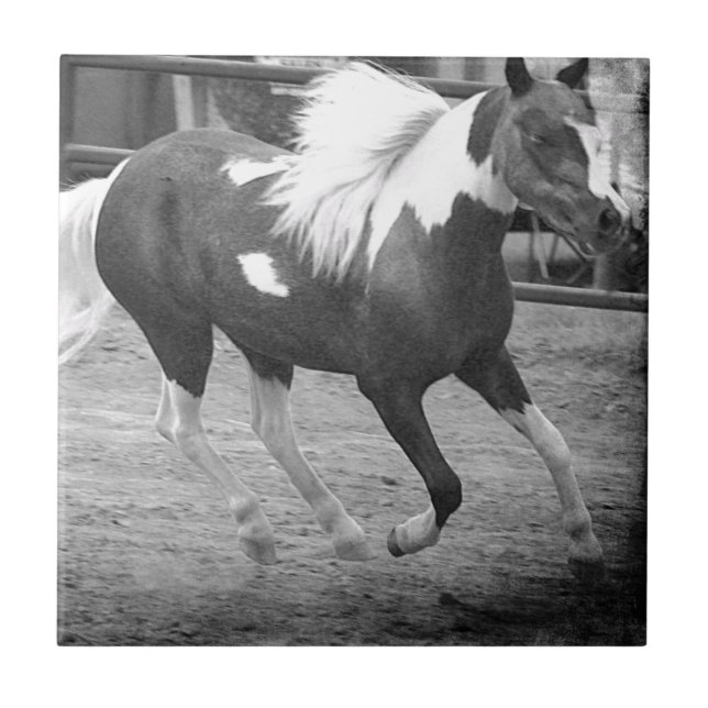Mini Horse Gallops Ceramic Tile (Front)