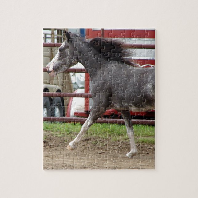 Mini Horse in Liberty Class Jigsaw Puzzle (Vertical)
