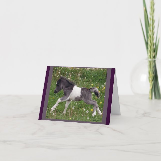 Mini Horse NoteCard (Front)