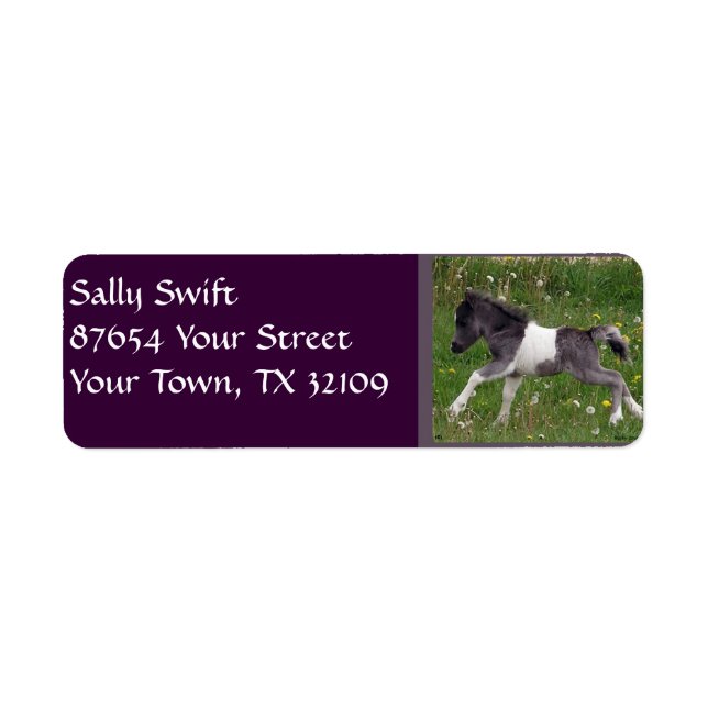 Mini Horse Return Address Label (Front)
