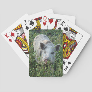 Mini Juliana Pet Pig Playing Cards