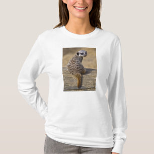 Mini Kat Tee