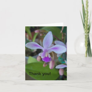 Mini orchid up close card