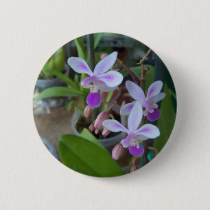 mini Phal orchids 6 Cm Round Badge