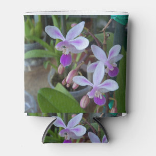 mini Phal orchids Can Cooler