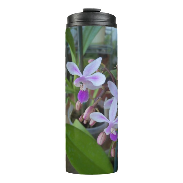 mini Phal orchids Thermal Tumbler (Front)