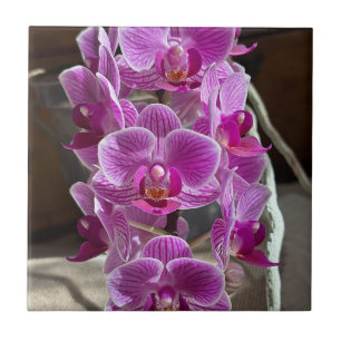 Mini Phalaenopsis Sogo Vivien Purple Orchid Flower Ceramic Tile