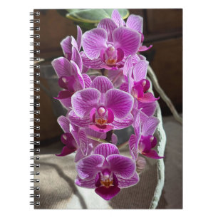 Mini Phalaenopsis Sogo Vivien Purple Orchid Flower Notebook
