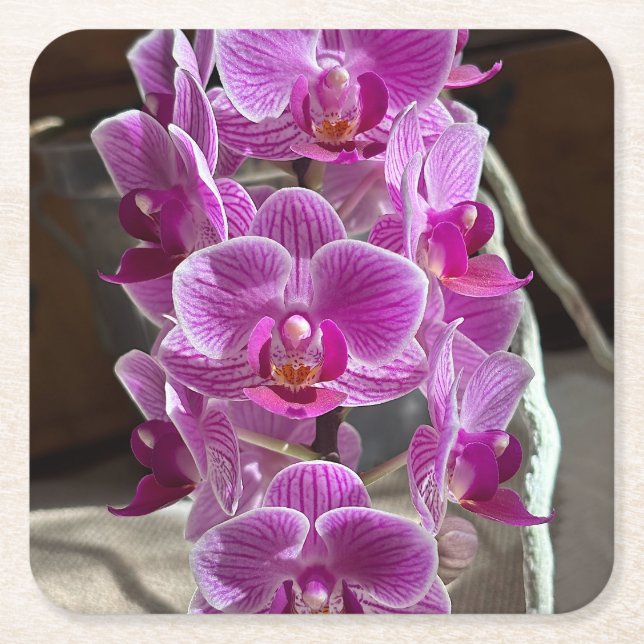 Mini Phalaenopsis Sogo Vivien Purple Orchid Flower Square Paper Coaster (Front)