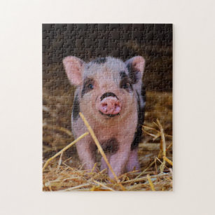 Piggy in the Middle Cross Stitch Pattern Piglet Pig Mini -  in