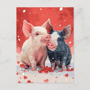 Mini Pigs Valentine's day  Postcard