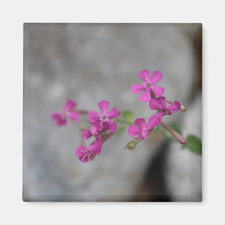 Mini Pink Flowers with stones Magnet