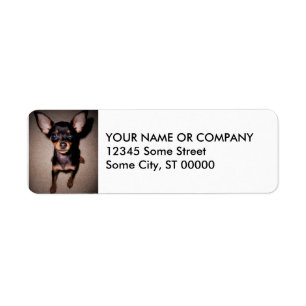 mini pinscher. return address label