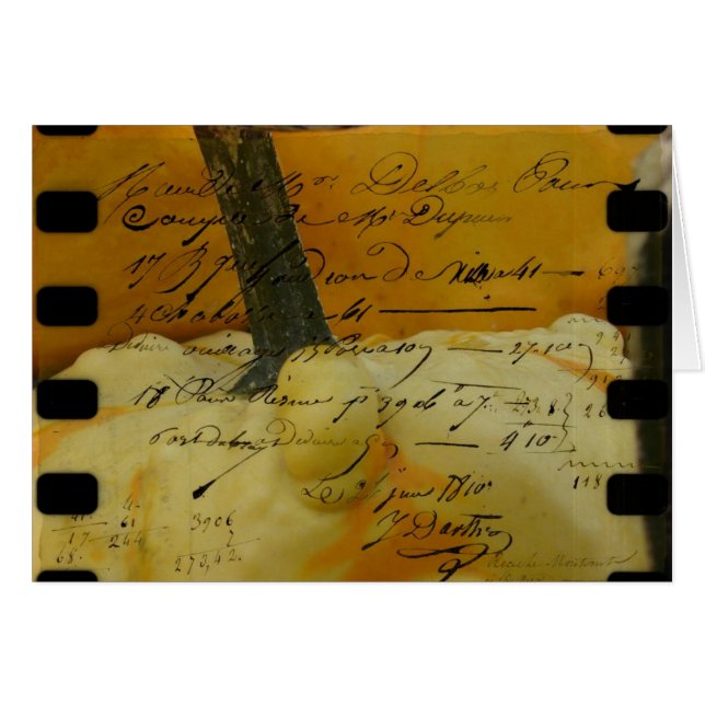 Mini Pumpkins (Front Horizontal)