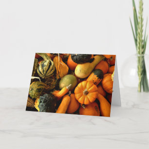 Mini Pumpkins And Gourds Assortment Fall Photo 2 Card