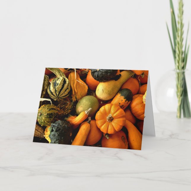 Mini Pumpkins And Gourds Assortment Fall Photo 2 Card (Front)