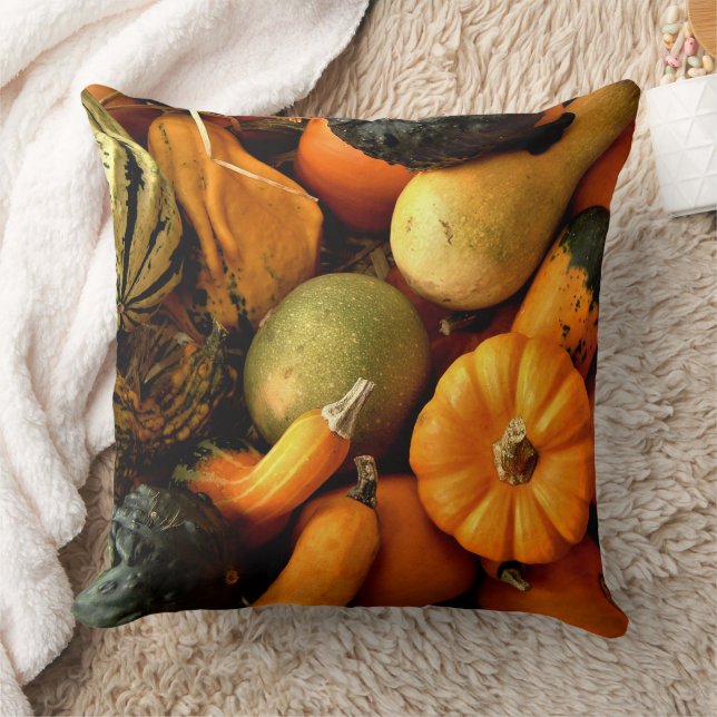 Mini Pumpkins And Gourds Assortment Fall Photo 2 Cushion (Blanket)