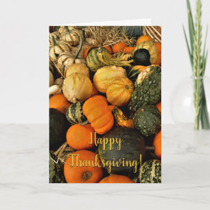 Mini Pumpkins And Gourds Assortment Fall Photo Card