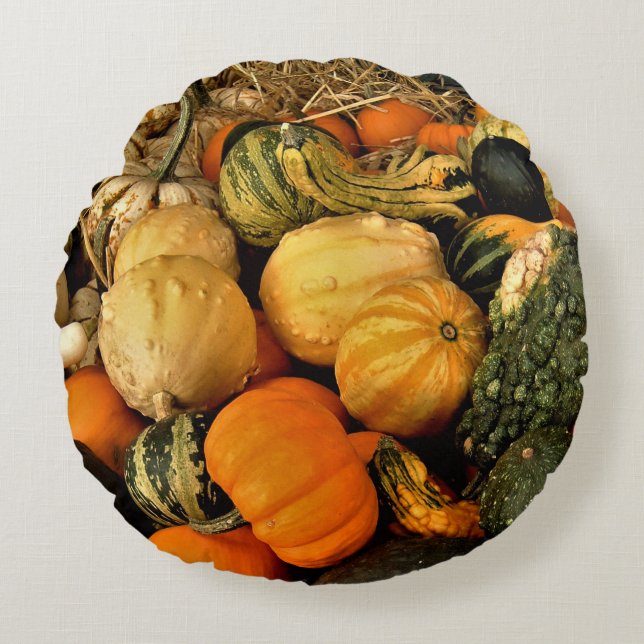 Mini Pumpkins And Gourds Assortment Fall Photo Round Cushion (Front)