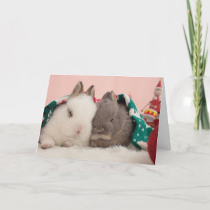 Mini rabbits holiday card