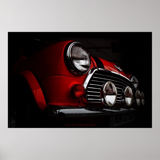 mini rally lights poster (Front)