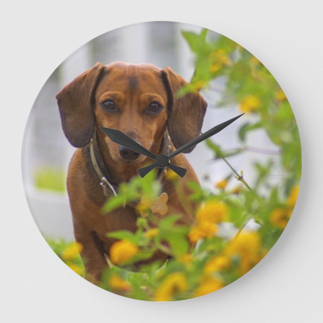 Mini Red Dachshund Clock (Front)