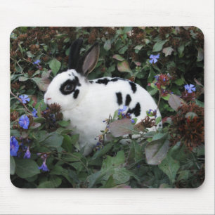 Mini Rex bunny rabbit mousepad
