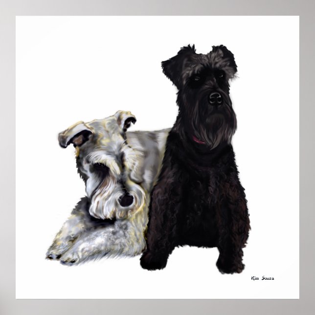 Mini Schnauzer Buddies Poster (Front)