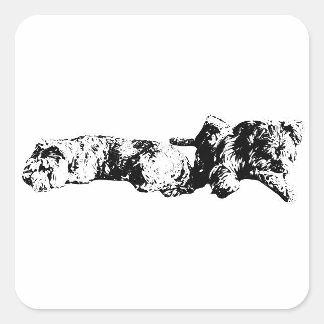 Mini Schnauzer Duo – Bold Black & White Sticker (Front)
