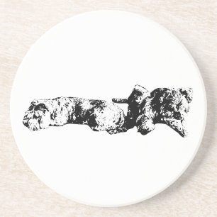 Mini Schnauzer Duo – Coaster