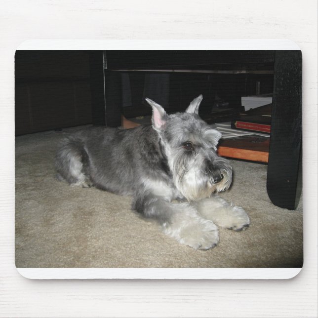 Mini_Schnauzer laying Mouse Pad (Front)