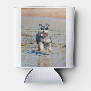 mini schnauzer-running can cooler