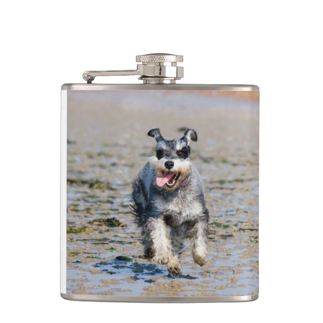 mini schnauzer-running hip flask (Front)