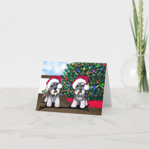 Mini Schnauzers Christmas Card