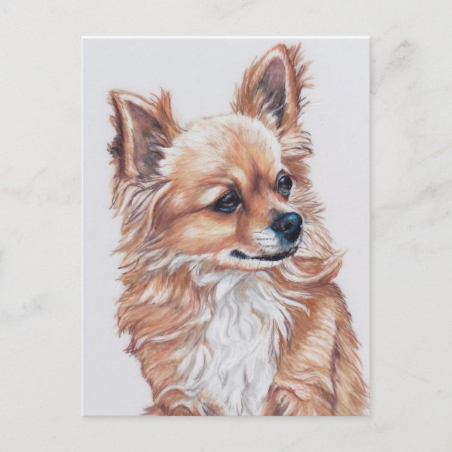 Mini the Chihuahua DogArt Postcard (Front)