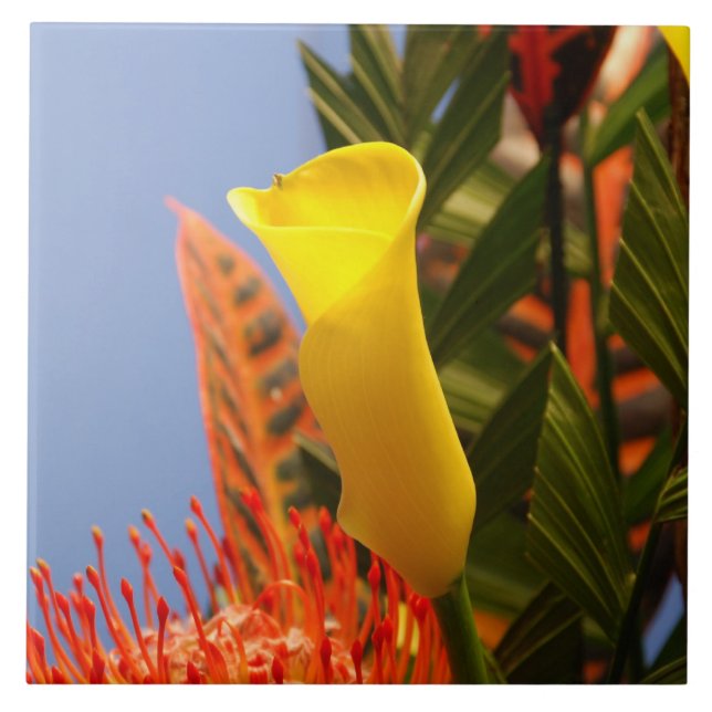 mini yellow calla lily ceramic tile (Front)