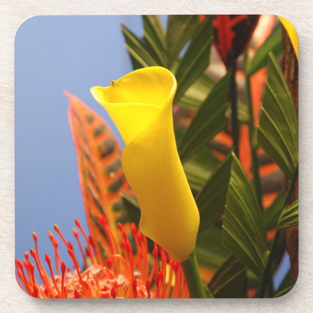 mini yellow calla lily coaster (Front)