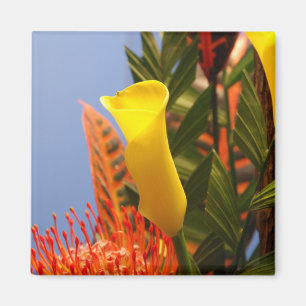 mini yellow calla lily magnet