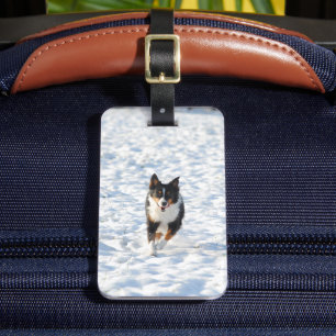 Miniature American Shepherd Black Tri running Luggage Tag