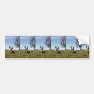 Miniature American Shepherd Blue Merle Jumping Bumper Sticker