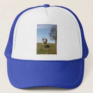 Miniature American Shepherd Blue Merle Jumping Trucker Hat