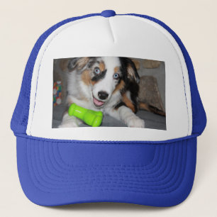 Miniature American Shepherd Blue Merle Puppy Trucker Hat