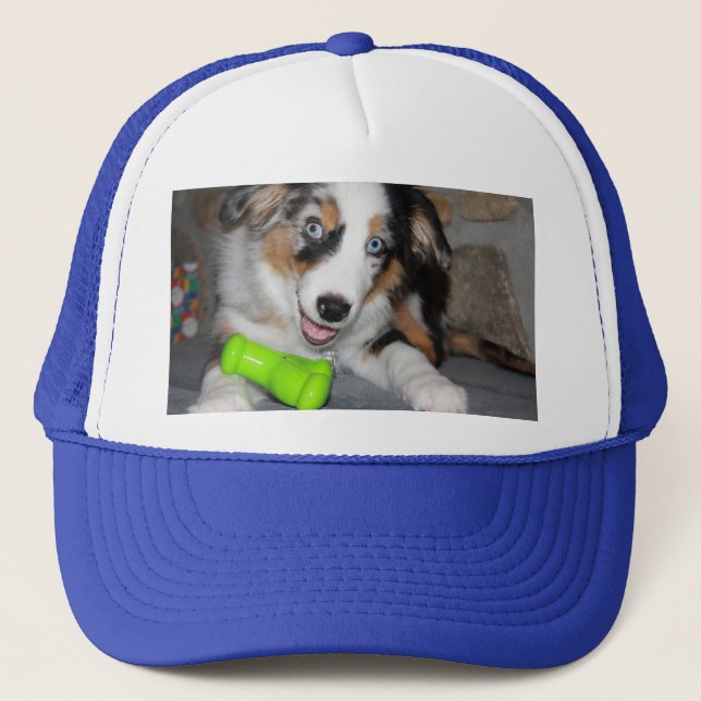Miniature American Shepherd Blue Merle Puppy Trucker Hat (Front)