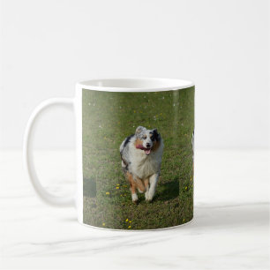 Miniature American Shepherd Blue Merle Running Coffee Mug