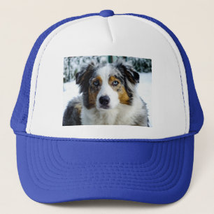 Miniature American Shepherd Blue Merle Trucker Hat