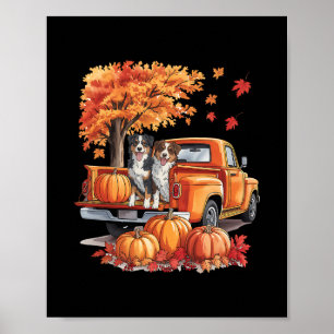 Miniature American Shepherd Dog Truck Pumpkin Than Poster