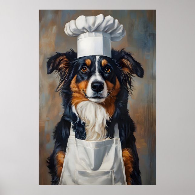 Miniature American Shepherd In Chefs Hat Poster (Front)