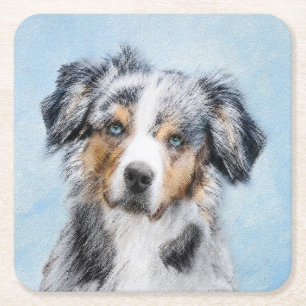 Miniature American Shepherd Painting - Dog Art Square Paper Coaster