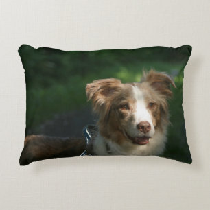 Miniature American Shepherd Red Merle Decorative Cushion